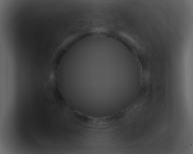 X0000100921254200807081143