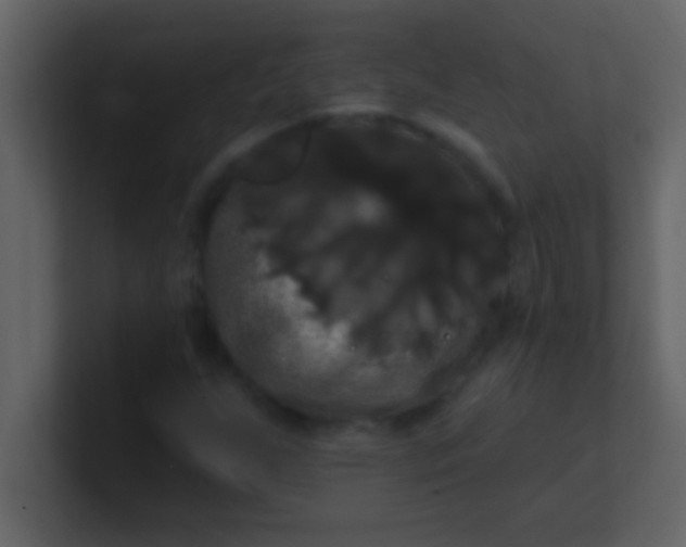 X0000100921255200807081143