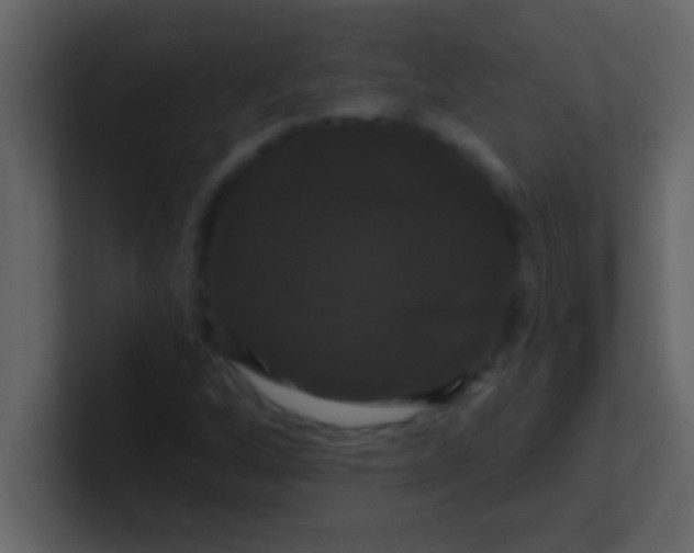 X0000100921256200807081143