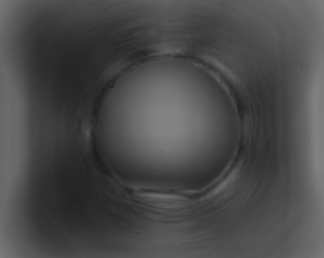 X0000100921257200807081143