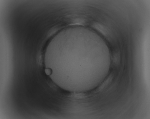 X0000100921258200807081143