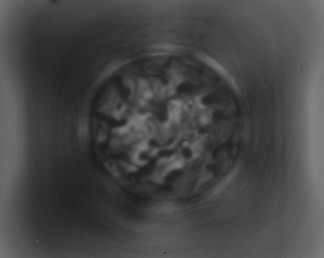 X0000100921259200807081143