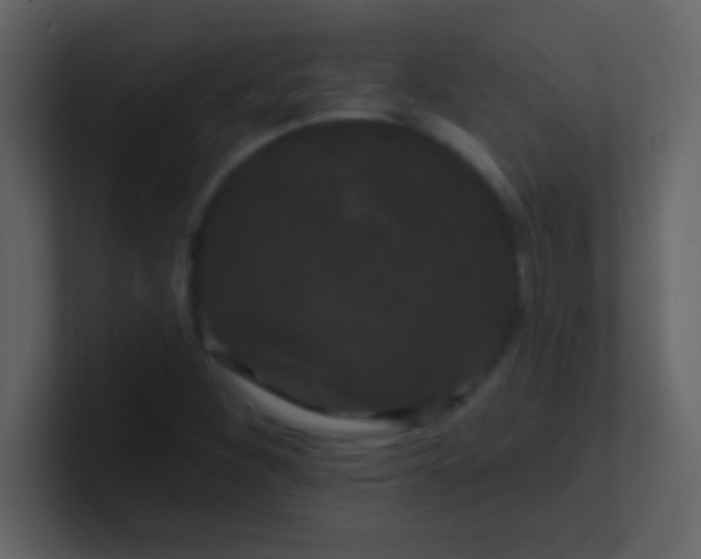 X0000100921260200807081143