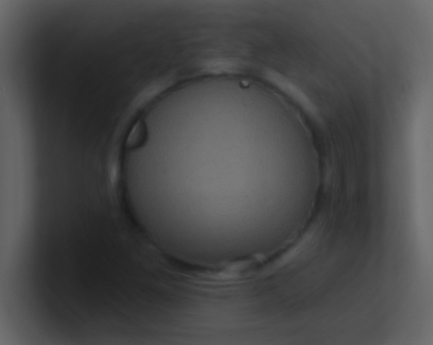 X0000100921261200807081143