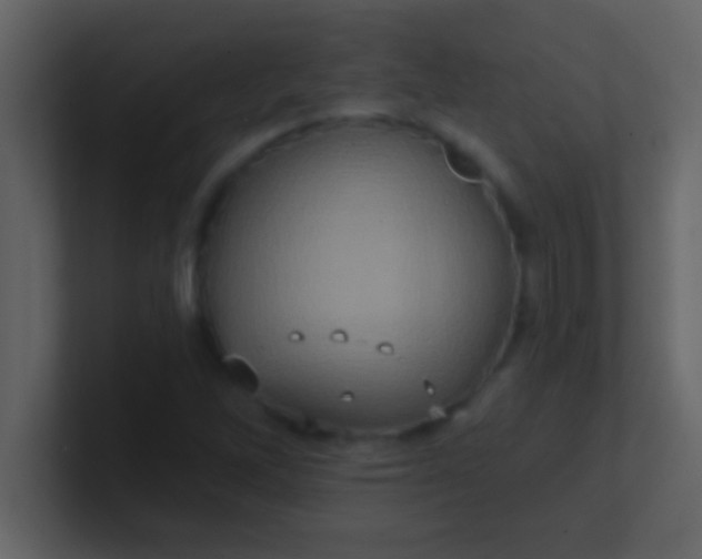 X0000100921262200807081143