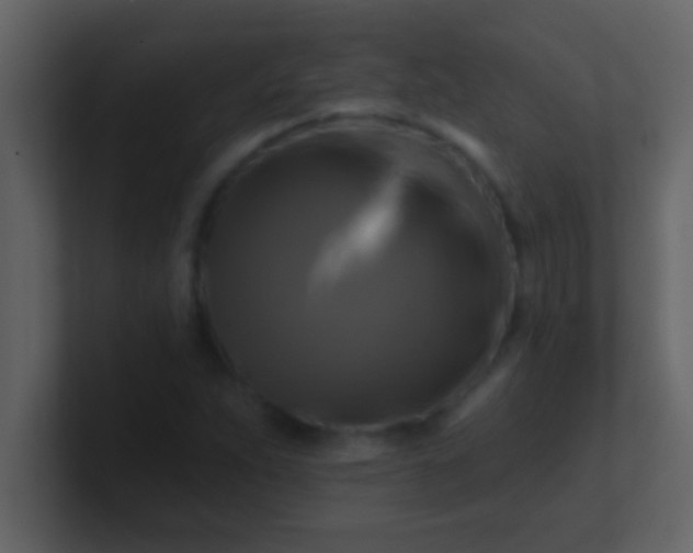 X0000100921263200807081143