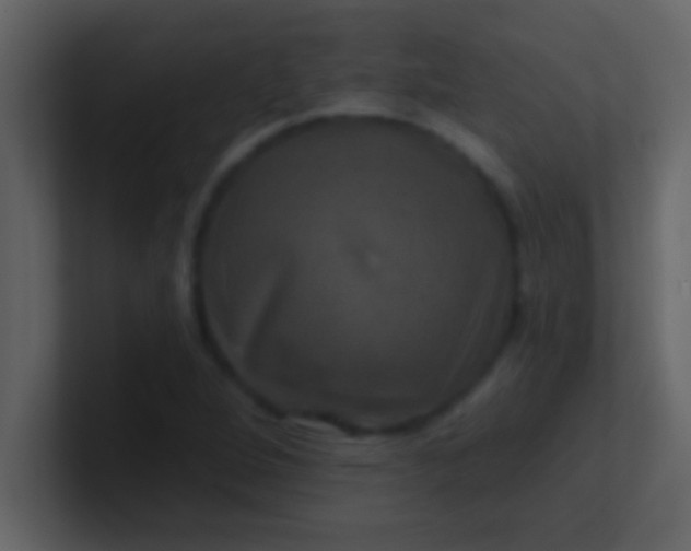 X0000100921264200807081143