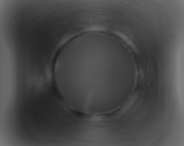 X0000100921266200807081143