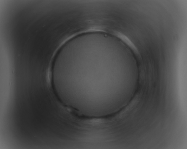 X0000100921268200807081143