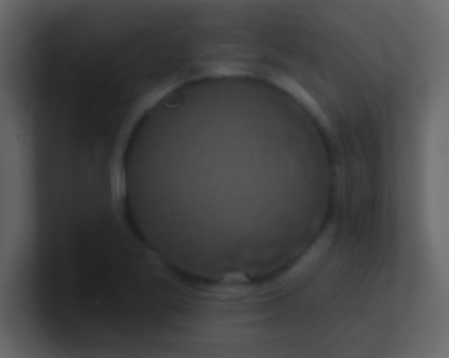 X0000100921269200807081143