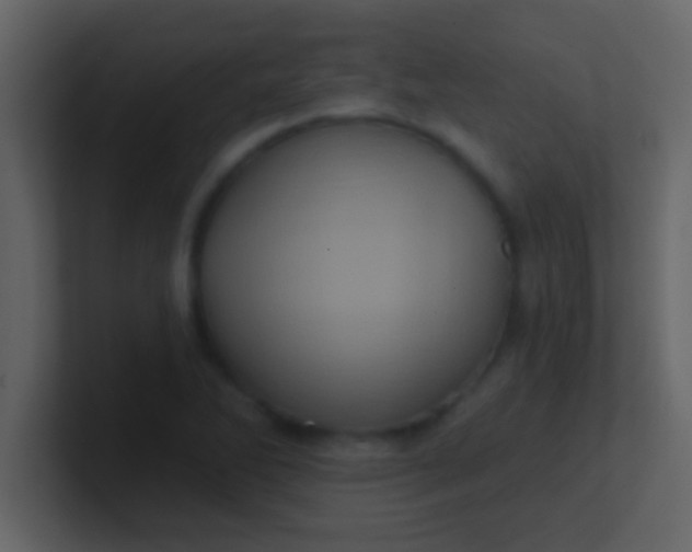 X0000100921270200807081143