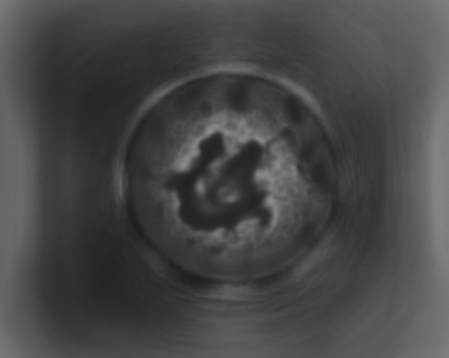 X0000100921271200807081143