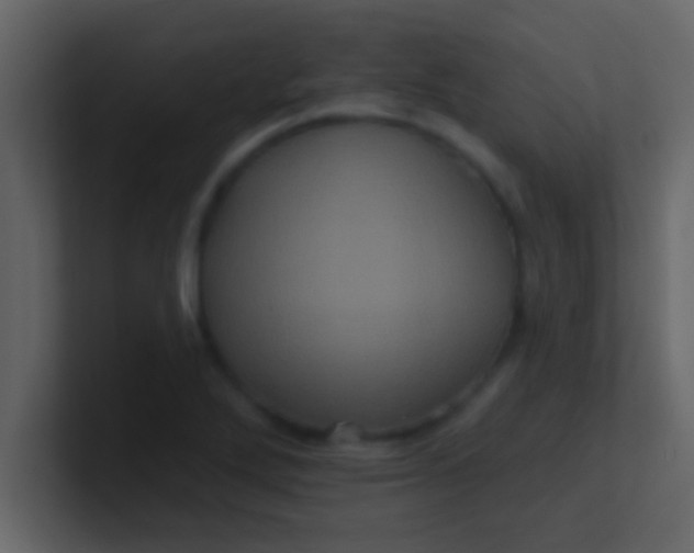 X0000100921272200807081143