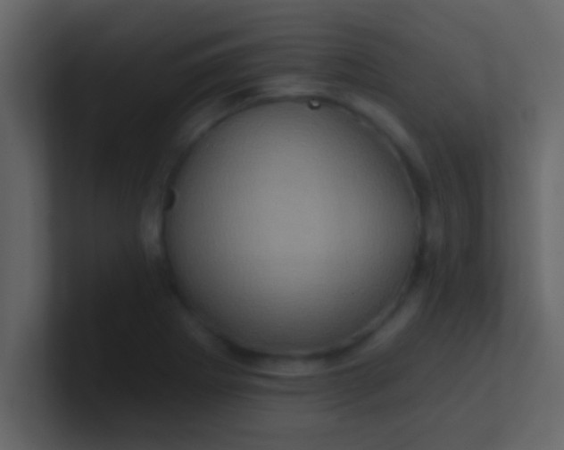 X0000100921273200807081143