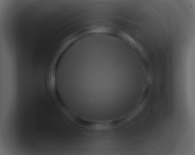 X0000100921274200807081143