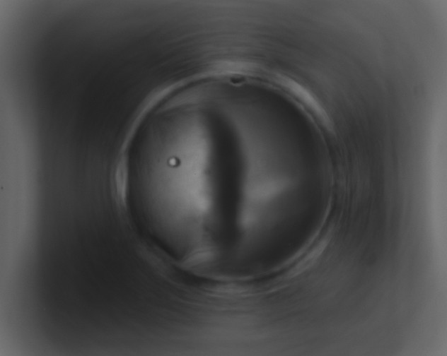 X0000100921275200807081143