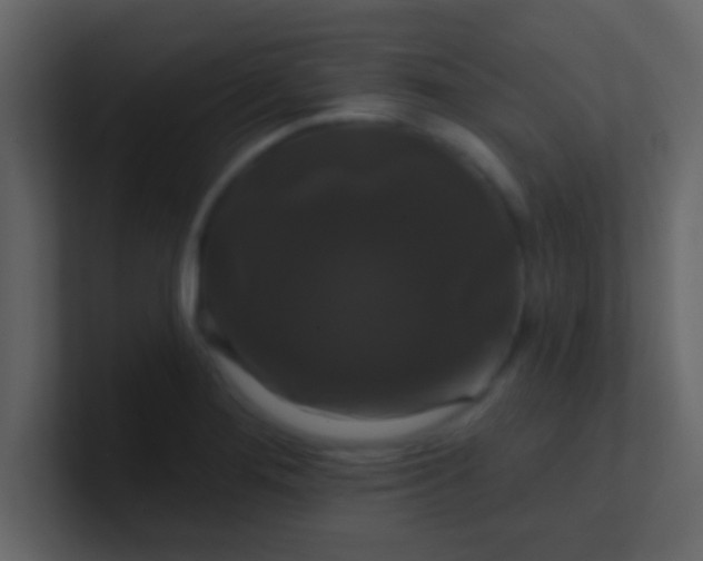 X0000100921276200807081143