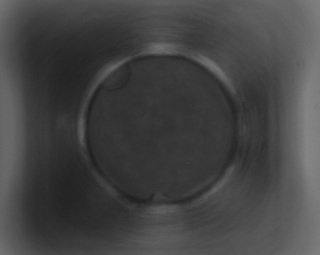 X0000100921277200807081143