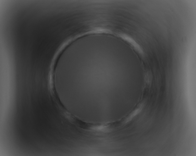 X0000100921278200807081143