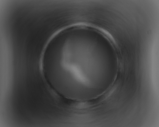 X0000100921279200807081143