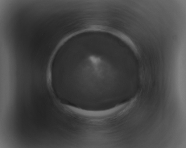 X0000100921280200807081143