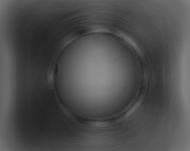 X0000100921281200807081143