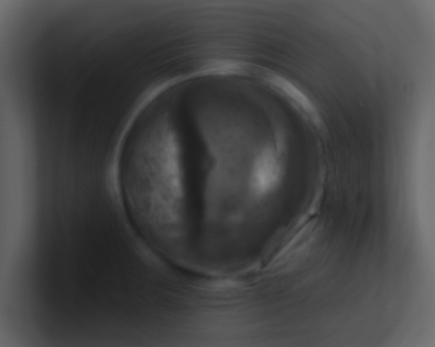 X0000100921283200807081143