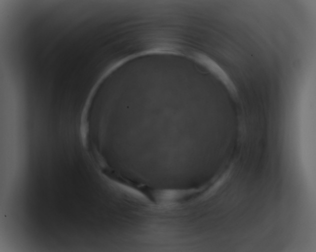 X0000100921284200807081143