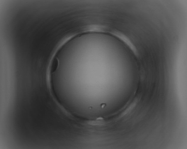 X0000100921285200807081143