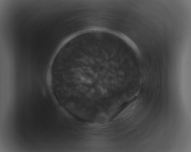 X0000100921287200807081143