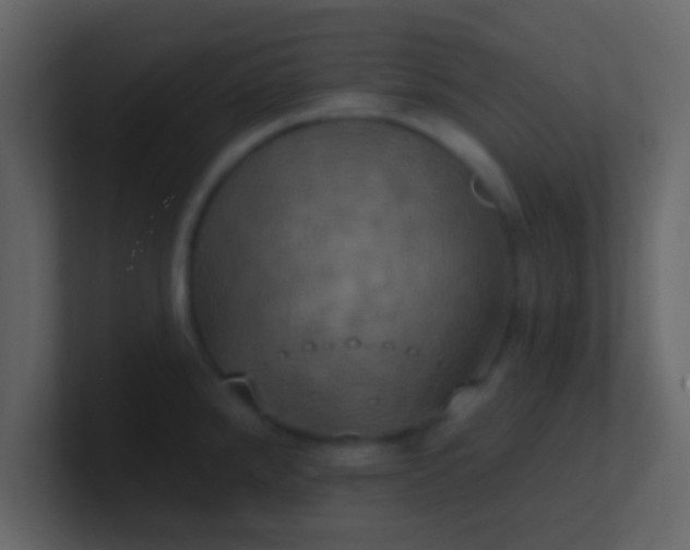 X0000100921288200807081143