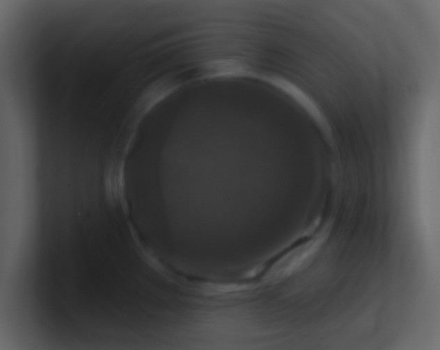 X0000100921289200807081143