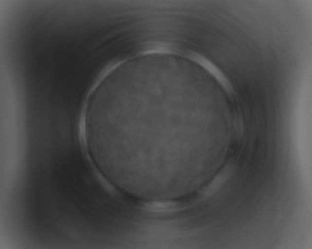 X0000100921290200807081143