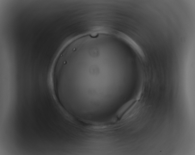 X0000100921291200807081143