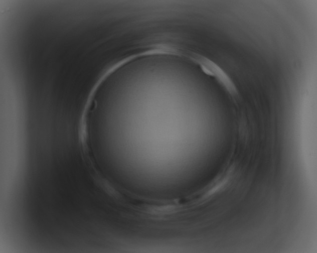 X0000100921292200807081143