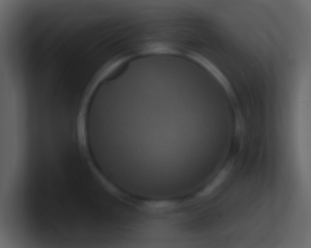 X0000100921293200807081143