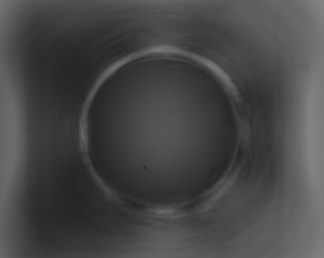 X0000100921295200807081143