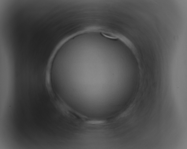 X0000100921296200807081143