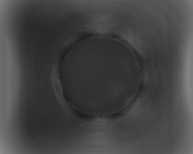 X0000100921297200807081142