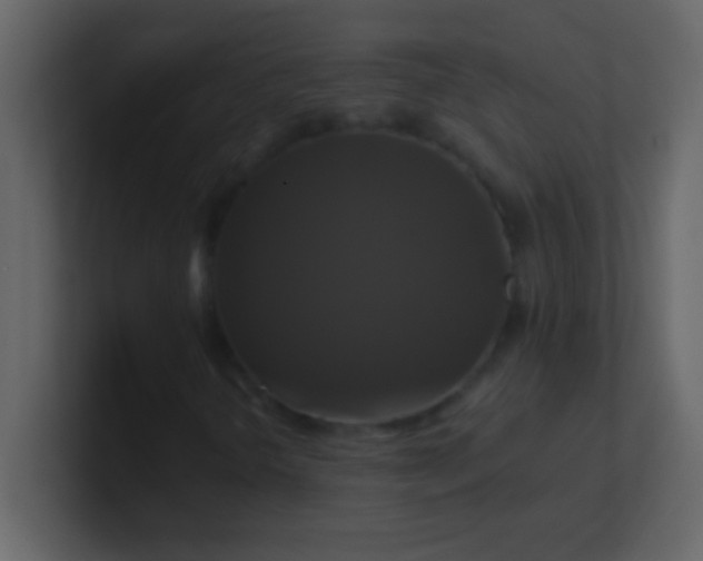 X0000100921298200807081142