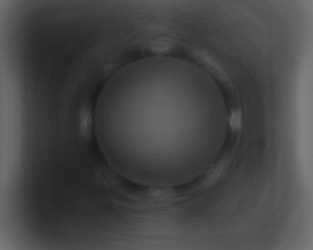 X0000100921299200807081142