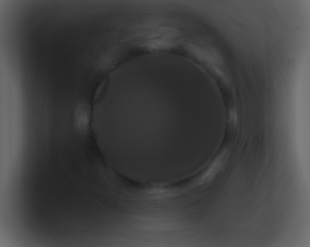 X0000100921300200807081142