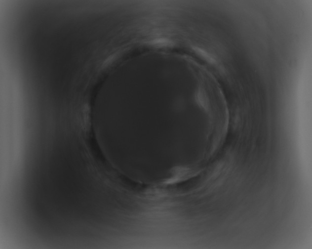 X0000100921301200807081142