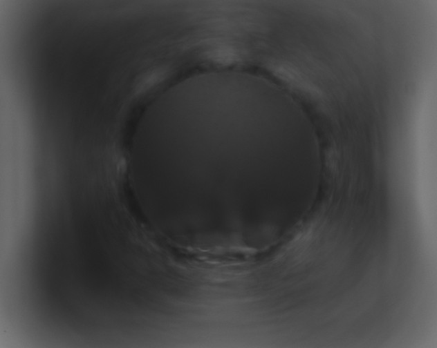 X0000100921302200807081142