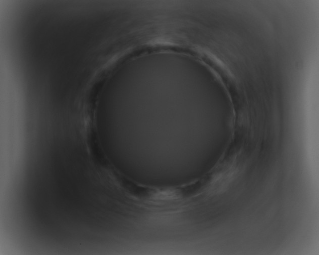 X0000100921303200807081142