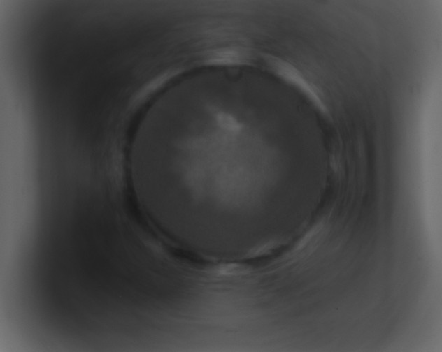 X0000100921304200807081142