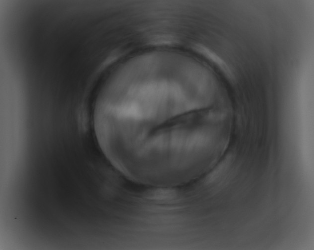 X0000100921306200807081142