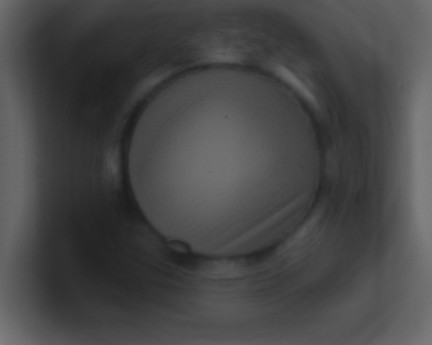 X0000100921307200807081142