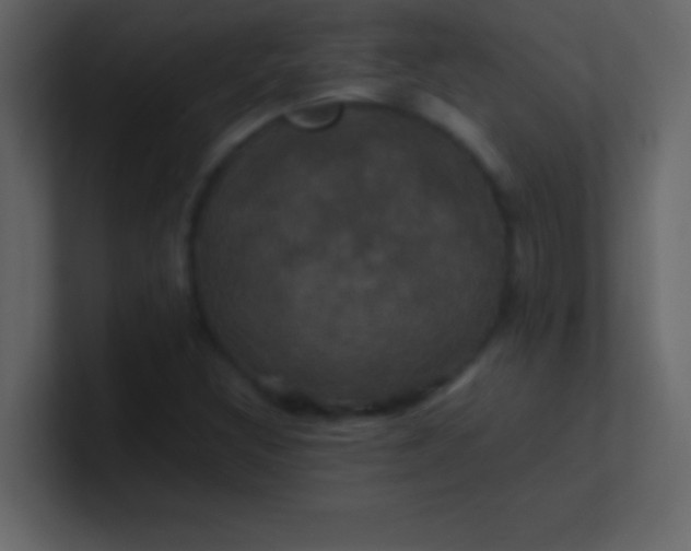 X0000100921308200807081142