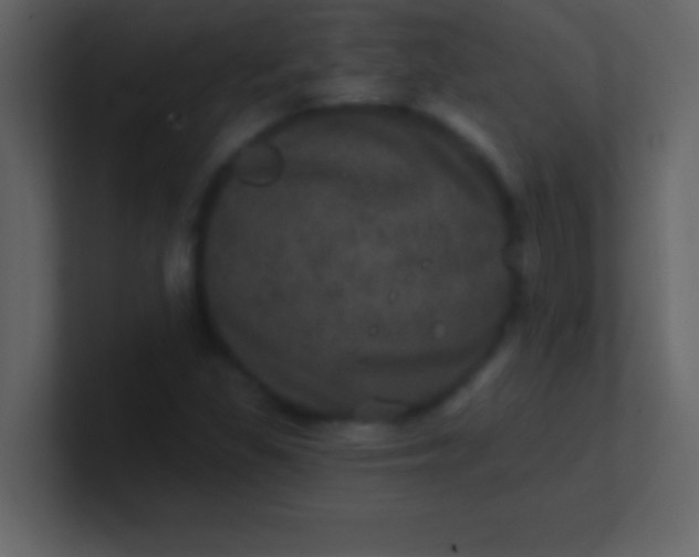 X0000100921309200807081142